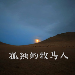 孤独的牧马人