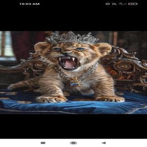 Que Suba La Loquera (feat. Nk23 & Maalex Baby)