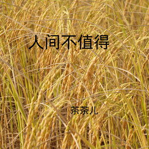 情人的泪 (DJ版)