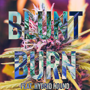 Blunt Burn (feat. Hybrid Hound) (Explicit)