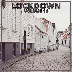 Lock Down Vol. 16