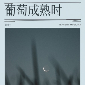 葡萄成熟时 (差不多冬至 一早一晚还是有雨)-梁湘宁