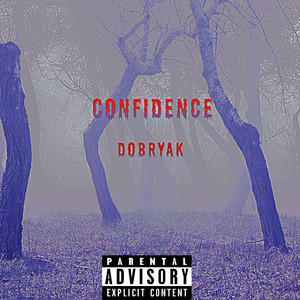 Confidence (Explicit)