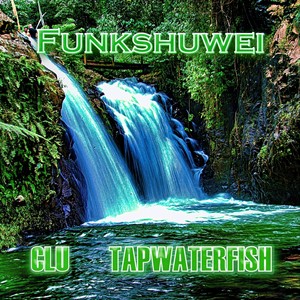 Funkshuwei (Explicit)