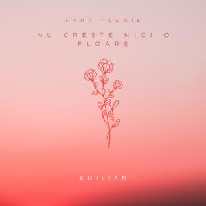 Fără ploaie nu crește nici o floare