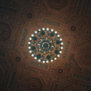 Lotus x Roses (feat. Blessid Amirey) (Explicit)