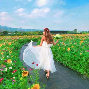 लाडी खेले वों सुरूत फूल खेले