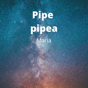 Pipe Pipea