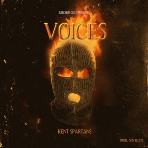 Voices (Radio Edit|Explicit)