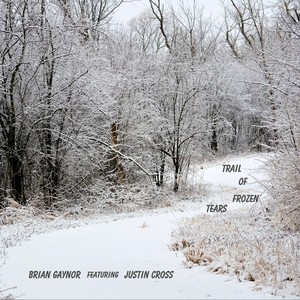 Trail of Frozen Tears(feat. Justin Cross)