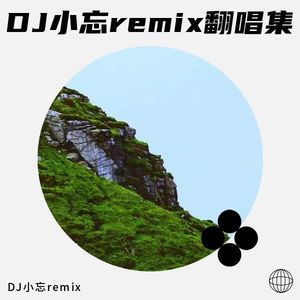 DJ小忘remix翻唱集