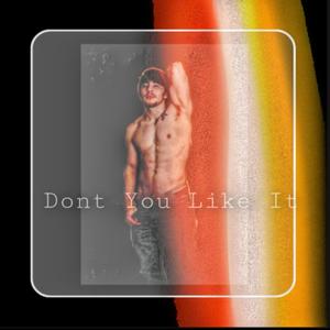 Don't You Like It (Explicit)