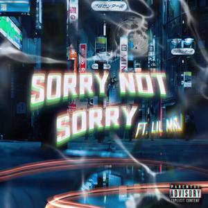 Sorry not Sorry (feat. Lil Maj) [Explicit]