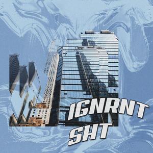 IGNRNT SHT(feat. MPO DON) (Explicit)