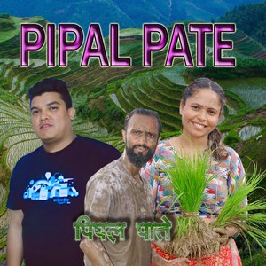 PIPAL PATE (Freestyle)