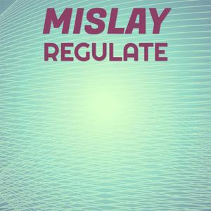 Mislay Regulate