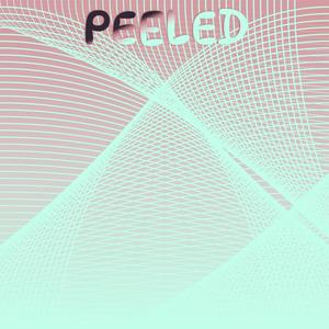 Kowalski Frontiersman