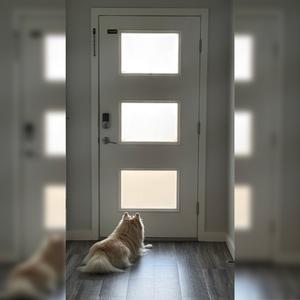 Smile (feat. Jose Fabio)