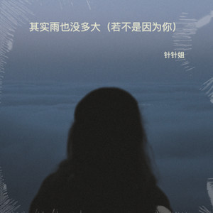 其实雨也没多大（若不是因为你）-针针姐