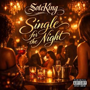 Single for the Night (Explicit)