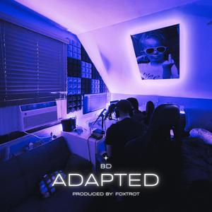 Basement(Freestyle) (Explicit)