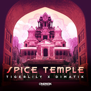 Spice Temple (Overdrive Remix)