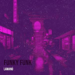 Funky Funk