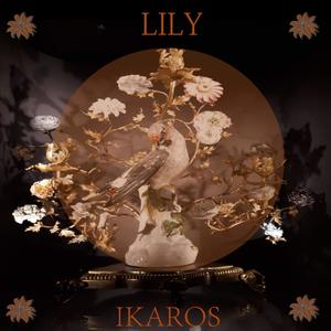 LILY