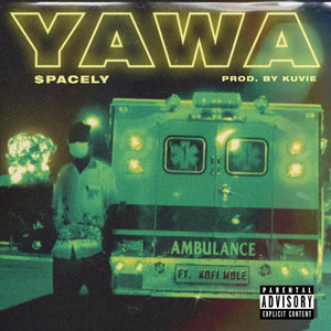 Yawa (feat. Kofi Mole)
