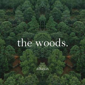 the woods.