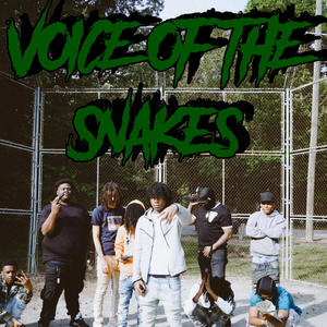 Voice of the snakes (Explicit)