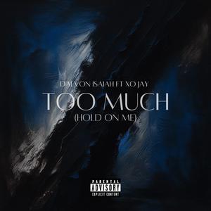 Too Much (Hold On Me) (feat. xo, jay.) [Explicit]