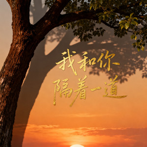 我和你隔着一道