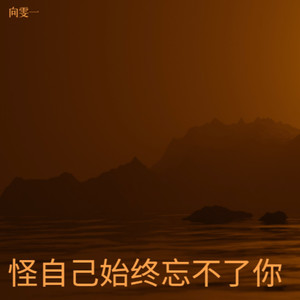怪自己始终忘不了你