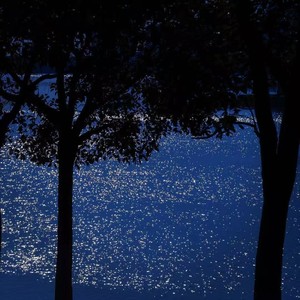 Wait-Ameriie&Andree Son