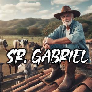 Sr Gabriel