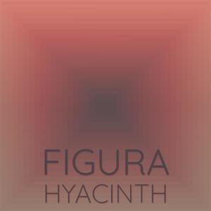 Figura Hyacinth