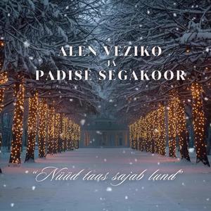 Nüüd taas sajab lund