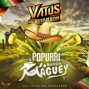 Popurrí Banda Maguey: Tumbando Caña / Como La Luna / Eva María