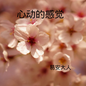 小猪小猪 (DJ版)