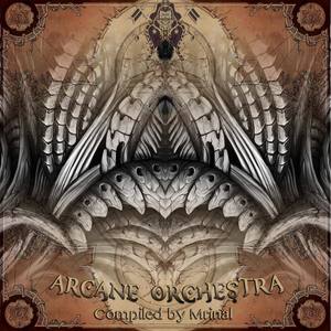 ARCANE ORCHESTRA