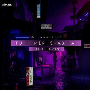 Tu Hi Meri Shab Hai (Lofi Rain)