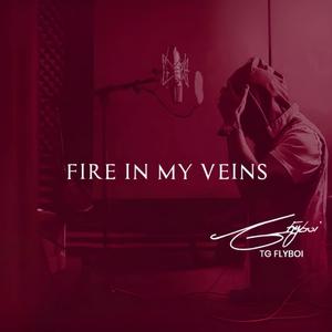 Fire In My Veins (Radio Edit) [Explicit]