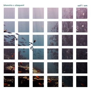 Self I Am Intro (Explicit)