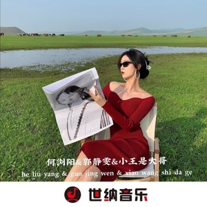 经典旋律 (DJ版)
