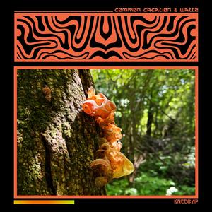 Kneecap (feat. Wattzn)