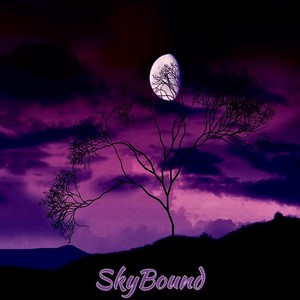 traveling thru space, watching the world fall apart(feat. SCAREDKID) (Explicit)