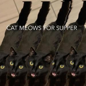 cat meows for supper