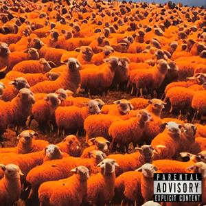 Countin' Sheep (Explicit)