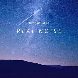 Real Noise